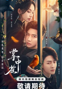 Птица в ладони дорама (2025)